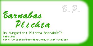 barnabas plichta business card